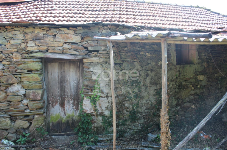 Moradia T3 para Venda em Raiva, Pedorido e Paraíso Foto 4