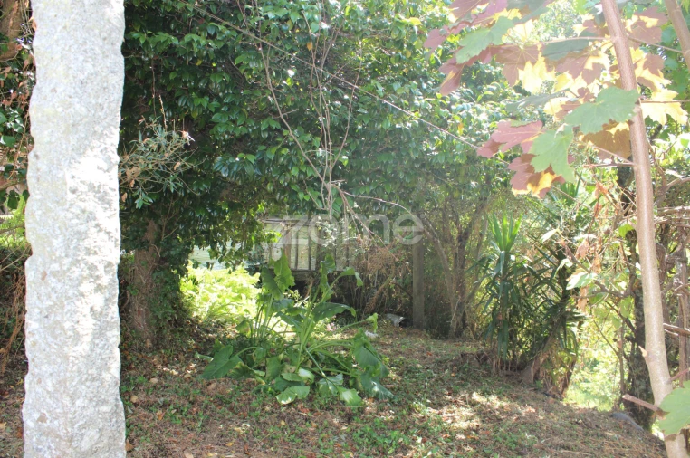 Moradia T3 para Venda em Raiva, Pedorido e Paraíso Foto 13