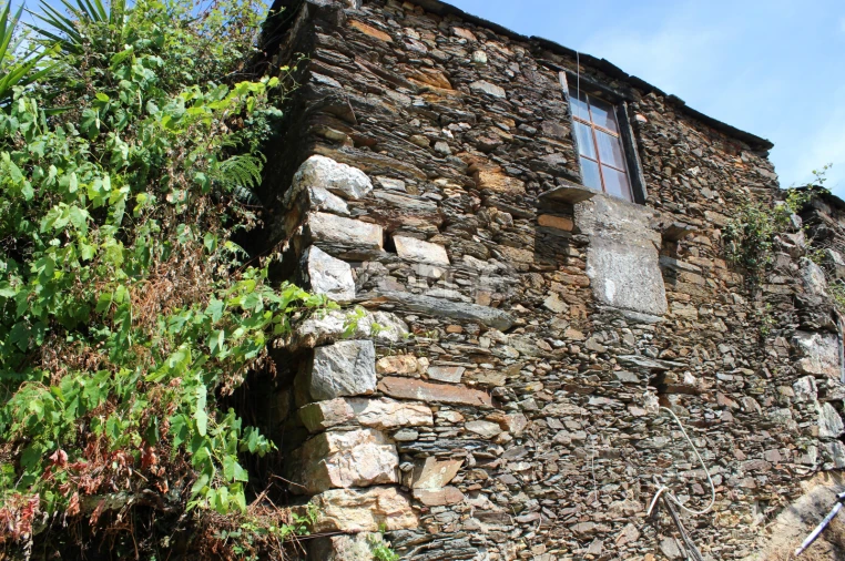 Moradia T3 para Venda em Raiva, Pedorido e Paraíso Foto 14