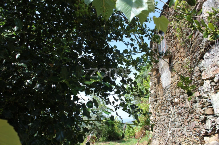 Moradia T3 para Venda em Raiva, Pedorido e Paraíso Foto 6