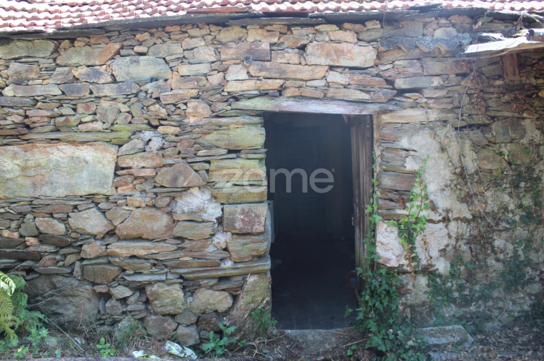 Moradia T3 para Venda em Raiva, Pedorido e Paraíso