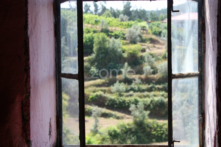 Moradia T3 para Venda em Raiva, Pedorido e Paraíso Foto 8