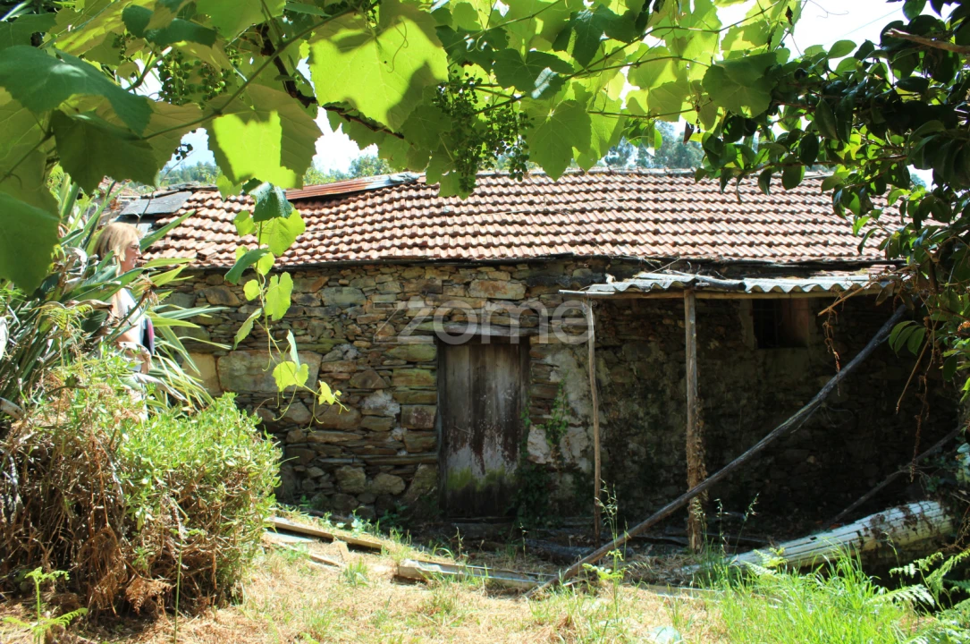 Moradia T3 para Venda em Raiva, Pedorido e Paraíso Foto 2