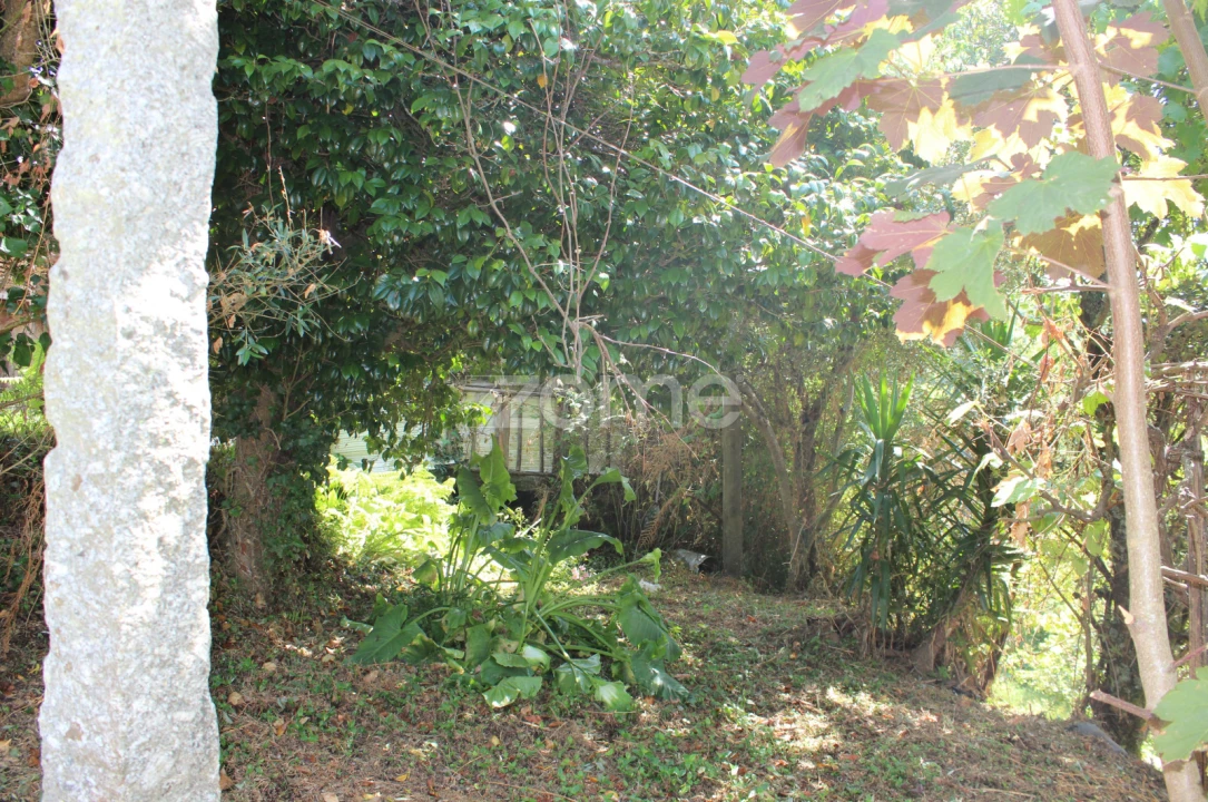 Moradia T3 para Venda em Raiva, Pedorido e Paraíso Foto 12