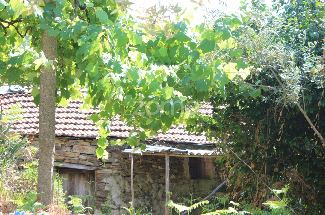 Moradia T3 para Venda em Raiva, Pedorido e Paraíso Foto 5