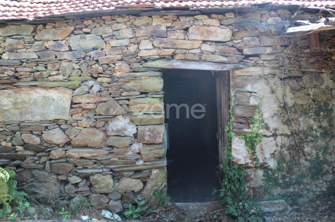 Moradia T3 para Venda em Raiva, Pedorido e Paraíso Foto 1