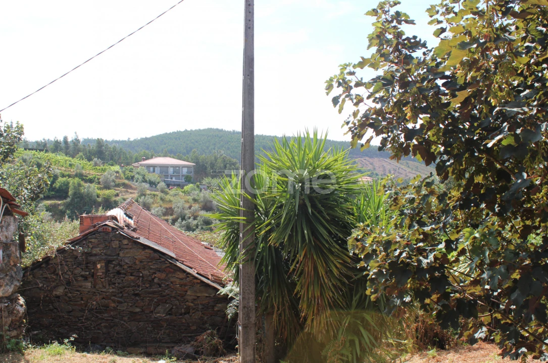 Moradia T3 para Venda em Raiva, Pedorido e Paraíso Foto 10