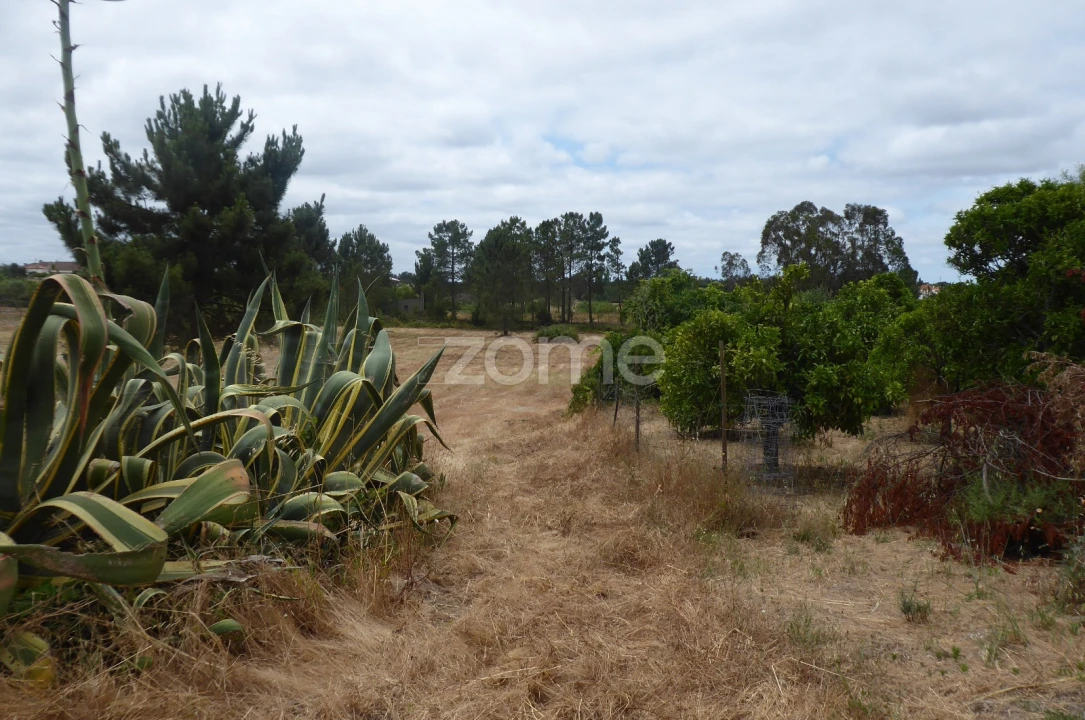 Terreno para Venda em Vendas Novas Foto 9