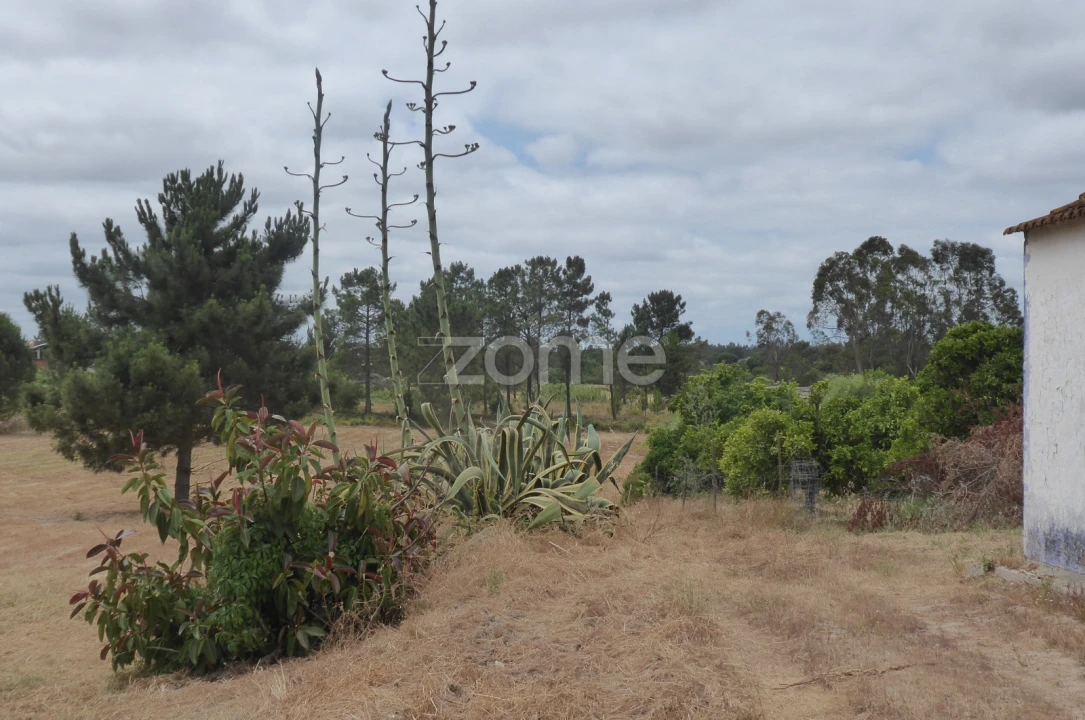 Terreno para Venda em Vendas Novas Foto 7