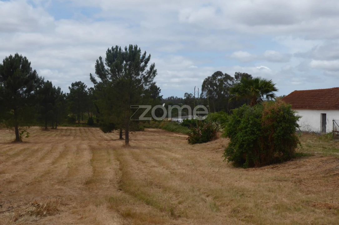 Terreno para Venda em Vendas Novas Foto 4