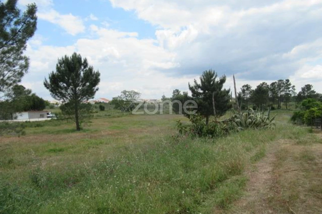 Terreno para Venda em Vendas Novas Foto 14