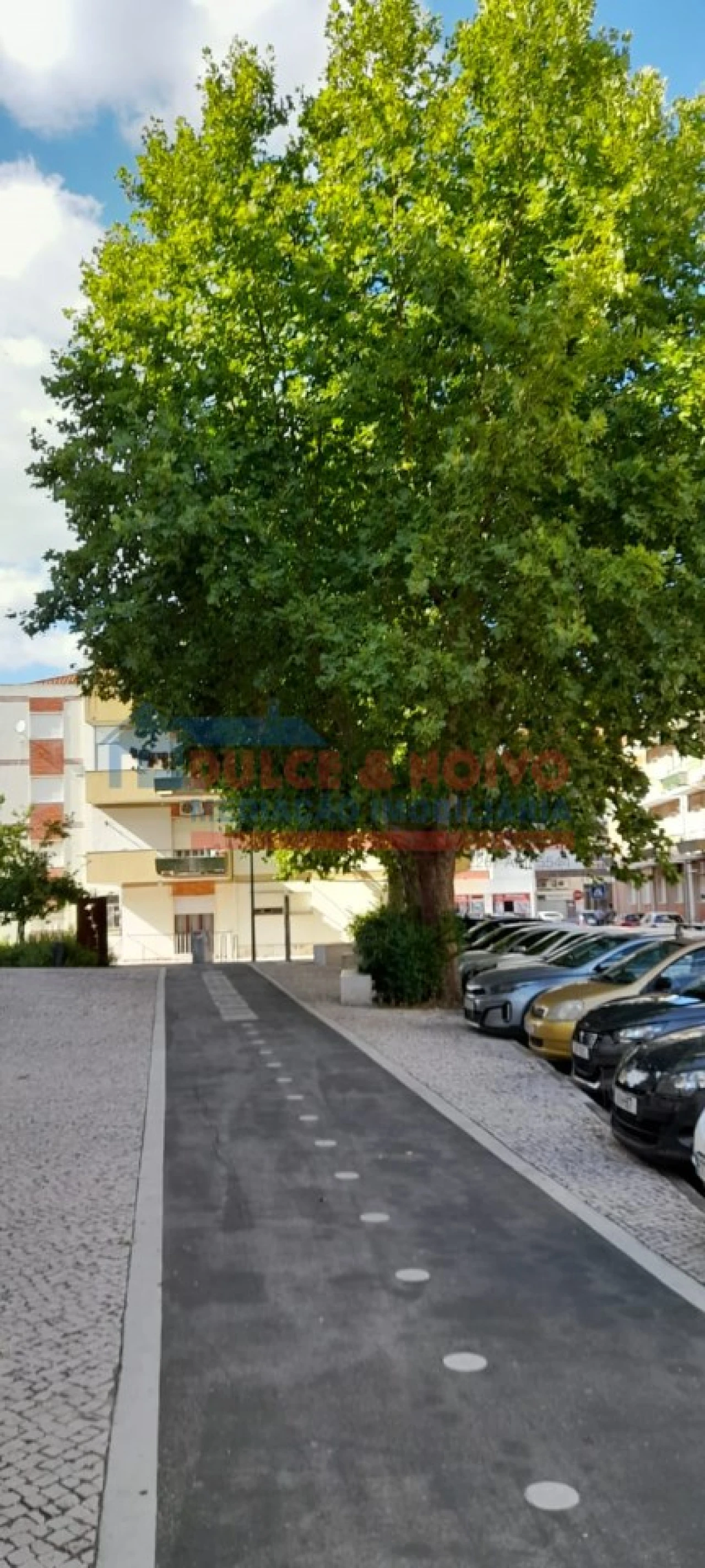 Apartamento T3 para Venda em São João Baptista Foto 11