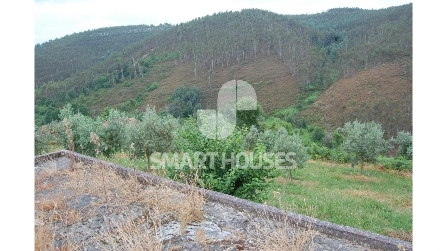 Moradia T2 para Venda em Carapinha Foto 5