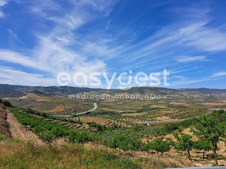 Moradia T1 para Venda em Adeganha e Cardanha Foto 3