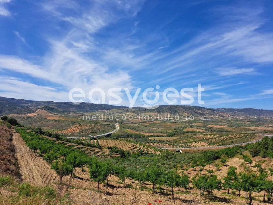 Moradia T1 para Venda em Adeganha e Cardanha Foto 8