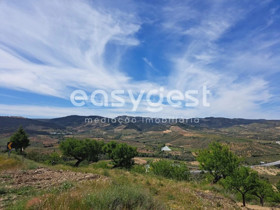 Moradia T1 para Venda em Adeganha e Cardanha Foto 11