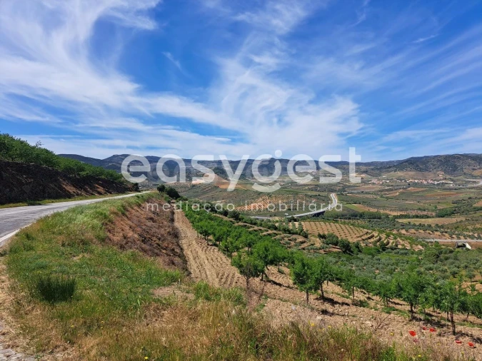 Moradia T1 para Venda em Adeganha e Cardanha Foto 9