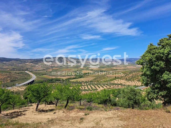 Moradia T1 para Venda em Adeganha e Cardanha Foto 13