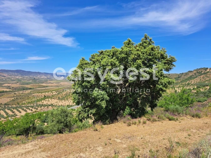 Moradia T1 para Venda em Adeganha e Cardanha Foto 14