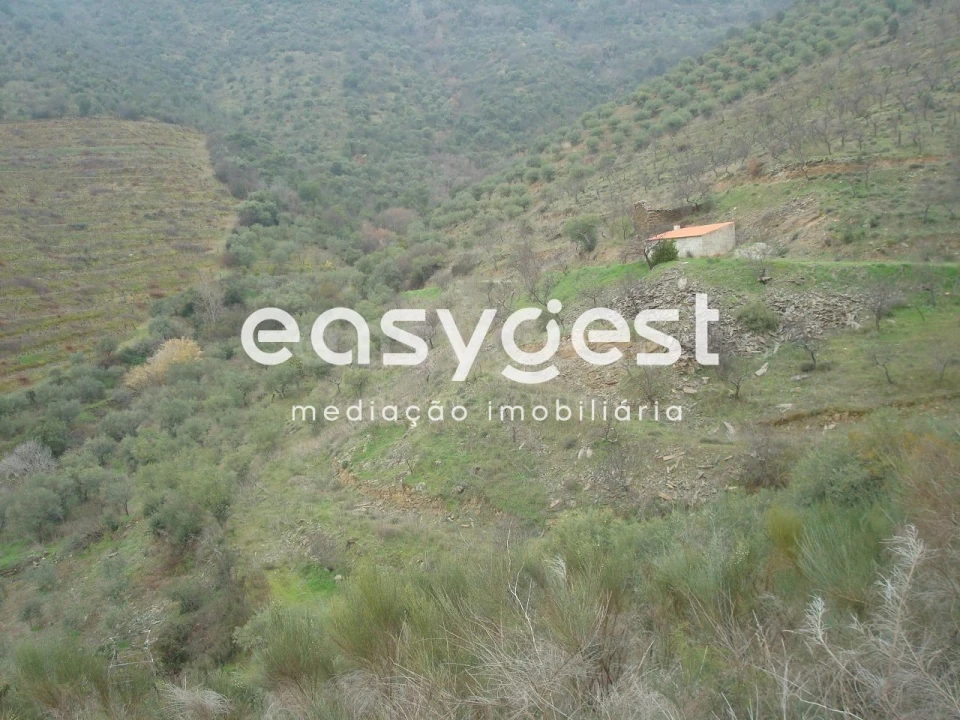 Terreno Agricola ou Rústico para Venda em Ligares Foto 2