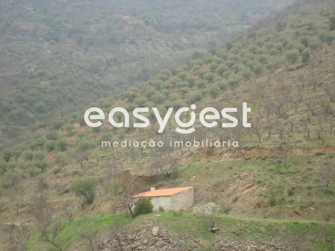 Terreno Agricola ou Rústico para Venda em Ligares