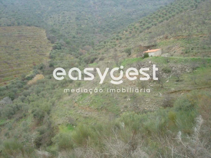 Terreno Agricola ou Rústico para Venda em Ligares Foto 2