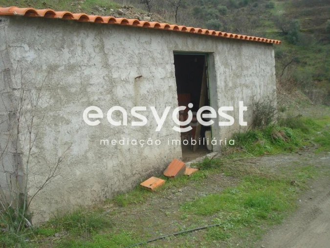 Terreno Agricola ou Rústico para Venda em Ligares Foto 6