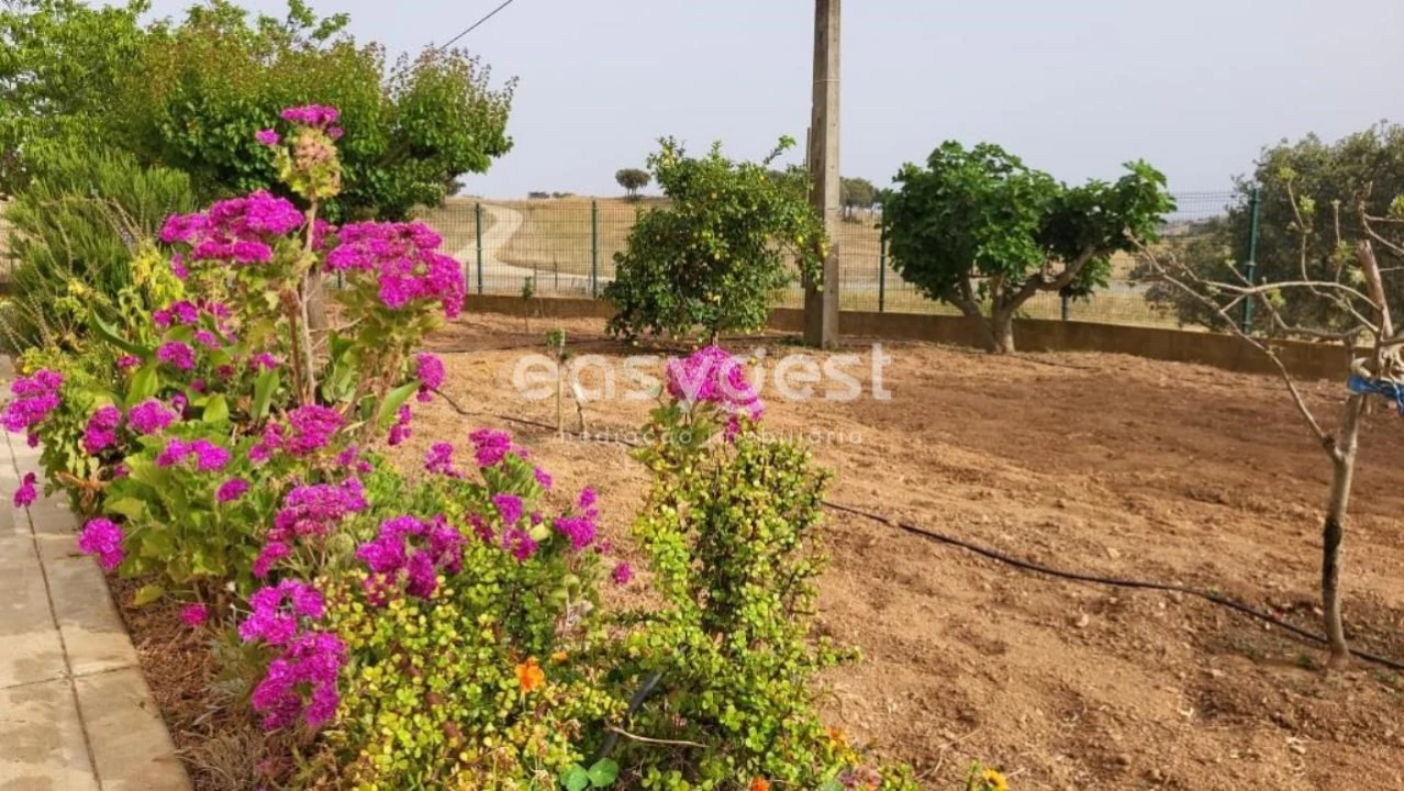 Quinta T4 para Venda em Ourique Foto 4