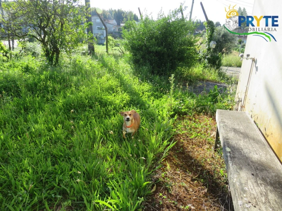Quinta T4 para Venda em Figueiró dos Vinhos e Bairradas Foto 29