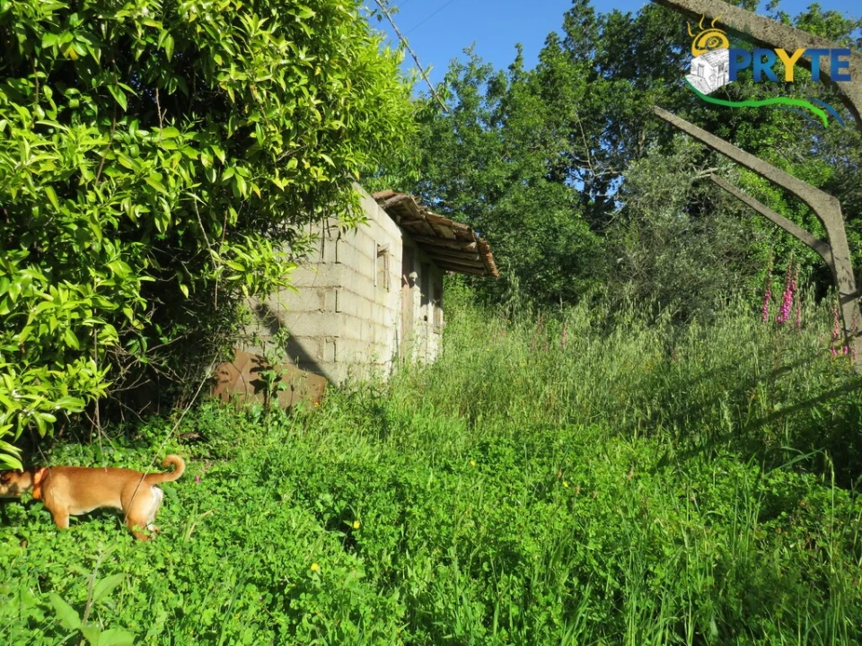 Quinta T4 para Venda em Figueiró dos Vinhos e Bairradas Foto 31