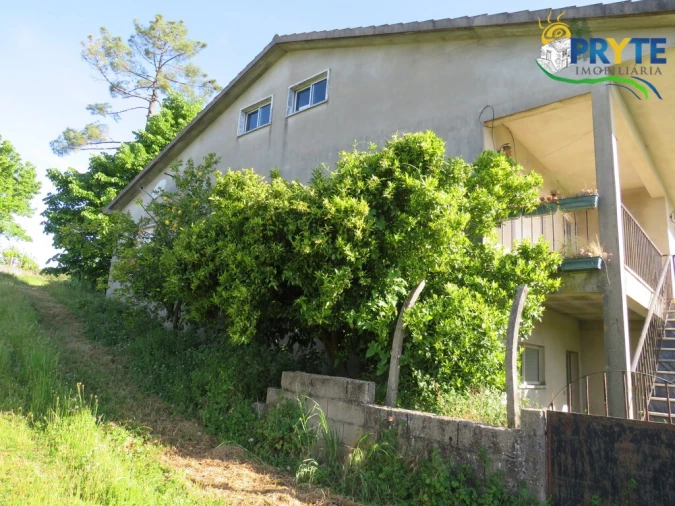 Quinta T4 para Venda em Figueiró dos Vinhos e Bairradas Foto 4