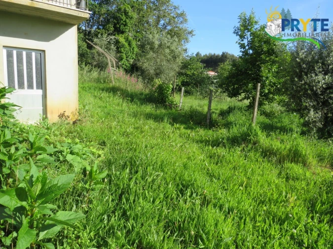 Quinta T4 para Venda em Figueiró dos Vinhos e Bairradas Foto 30