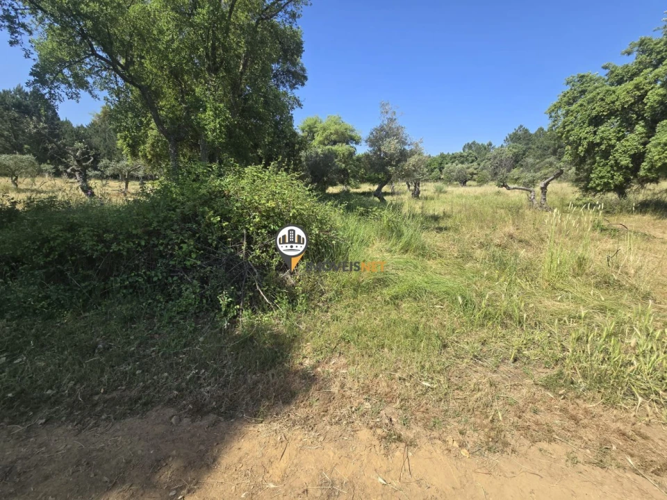 Terreno para Venda em Salgueiro do Campo Foto 4