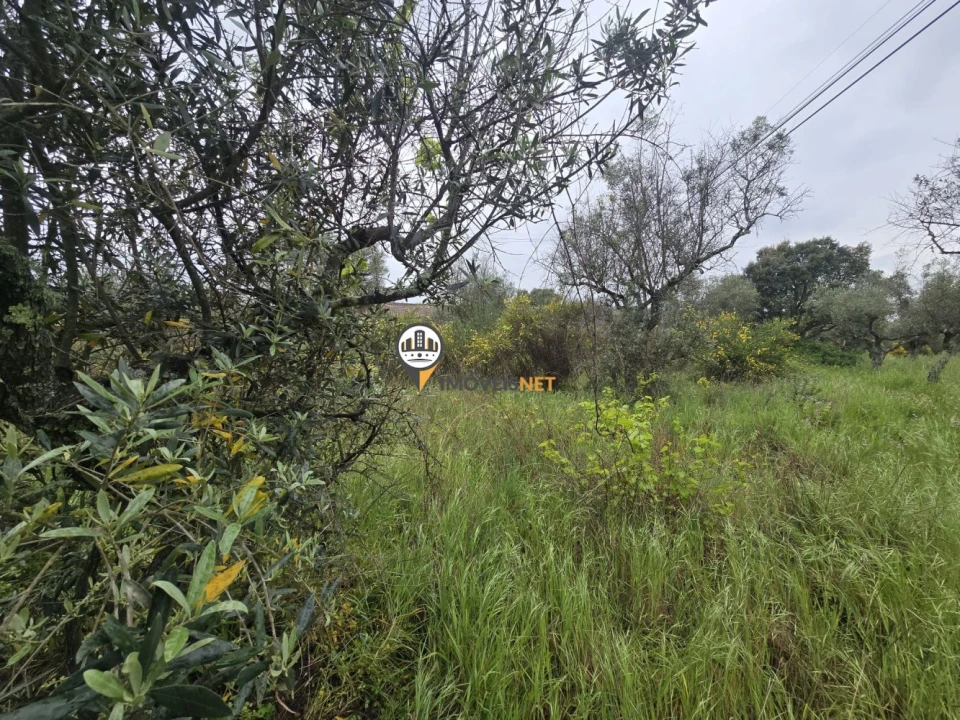 Terreno para Venda em Salgueiro do Campo Foto 1