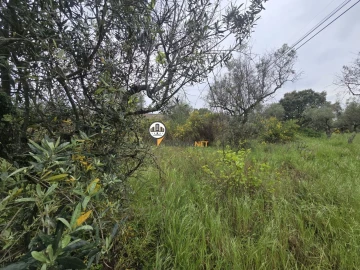 Terreno para Venda em Salgueiro do Campo