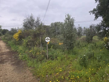 Terreno para Venda em Salgueiro do Campo