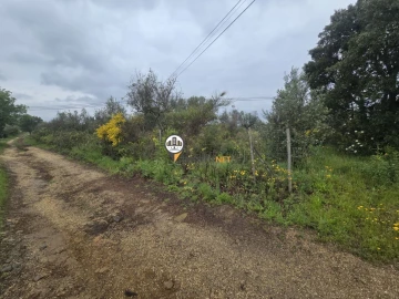 Terreno para Venda em Salgueiro do Campo