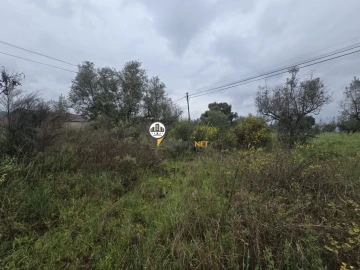 Terreno para Venda em Salgueiro do Campo