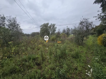 Terreno para Venda em Salgueiro do Campo