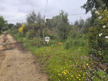 Terreno para Venda em Salgueiro do Campo