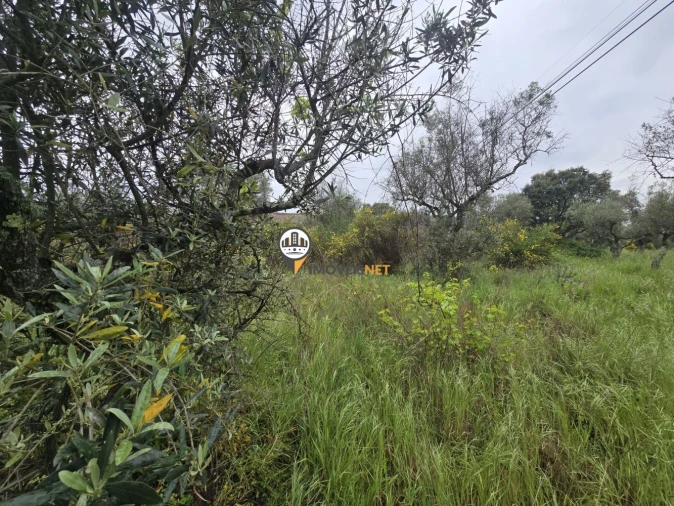 Terreno para Venda em Salgueiro do Campo