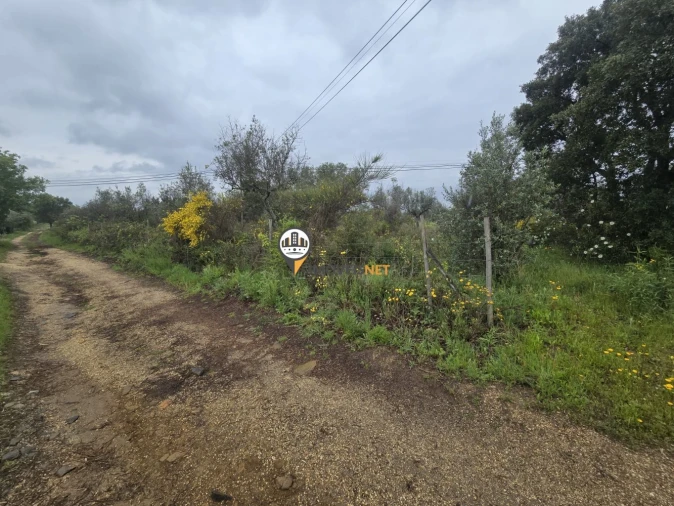 Terreno para Venda em Salgueiro do Campo Foto 2