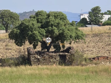 Terreno para Venda em Salgueiro do Campo