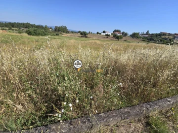 Terreno para Venda em Salgueiro do Campo