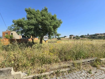 Terreno para Venda em Salgueiro do Campo