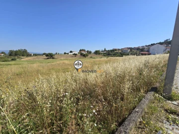 Terreno para Venda em Salgueiro do Campo