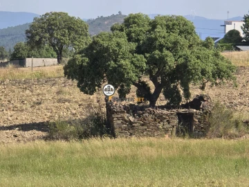 Terreno para Venda em Salgueiro do Campo