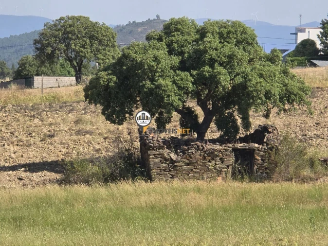 Terreno para Venda em Salgueiro do Campo Foto 5