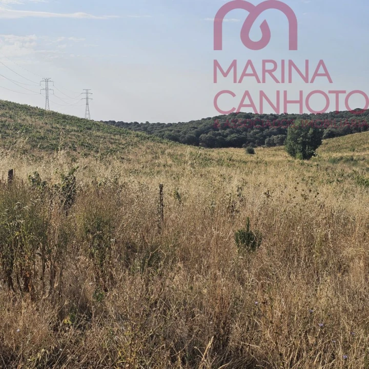 Terreno para Venda em Orada Foto 13