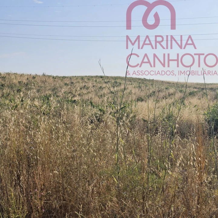 Terreno para Venda em Orada Foto 6